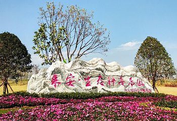 兴茂来安国际旅游度假区第 2 张图片