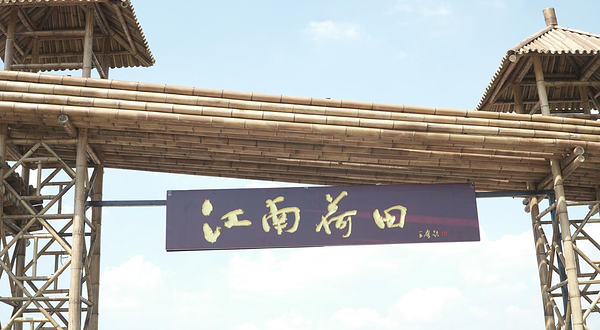 江南荷田农业生态观光园