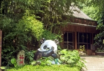 福州熊猫世界第 4 张图片