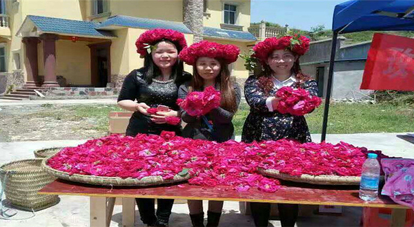 花之恋玫瑰文旅园