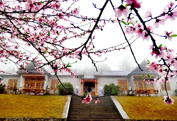 清远金子山原生态旅游风景区第 25 张图片