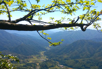 清远金子山原生态旅游风景区第 74 张图片