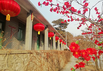 九凤山文化苑第 4 张图片