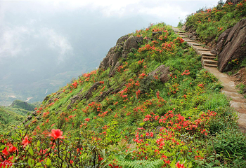 清远金子山原生态旅游风景区第 23 张图片
