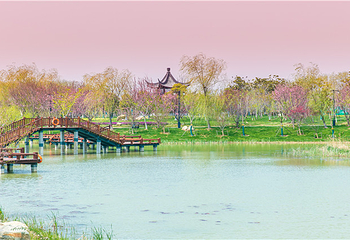 大洋湾生态旅游景区第 6 张图片