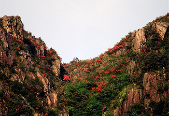清远金子山原生态旅游风景区第 77 张图片