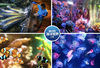 上海长风海洋世界第 12 张图片