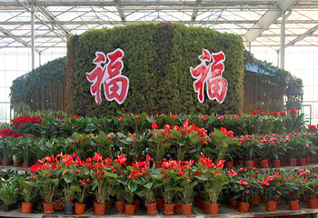 枣阳百花园第 1 张图片