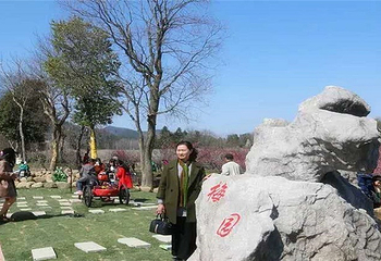 梧桐花谷第 14 张图片