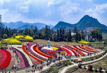 梧桐花谷第 13 张图片