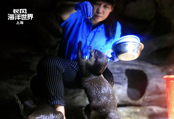 上海长风海洋世界第 30 张图片