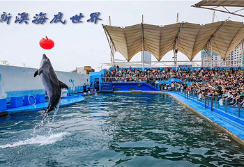 新澳海底世界第 16 张图片