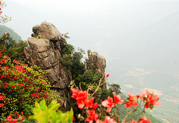 清远金子山原生态旅游风景区第 16 张图片