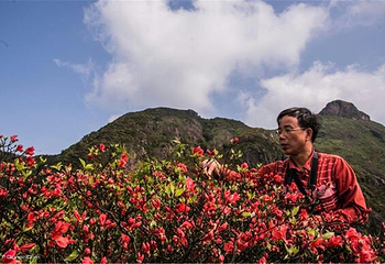 清远金子山原生态旅游风景区第 115 张图片