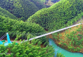 木坑竹海第 10 张图片