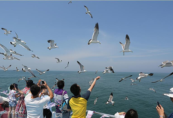 长岛海上游第 2 张图片