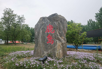 博浪沙原始森林第 10 张图片