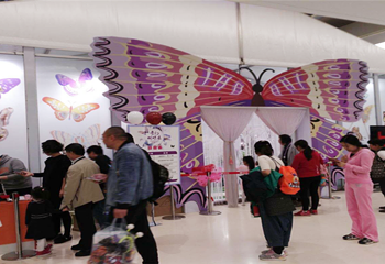 蝴蝶展会参观第 6 张图片