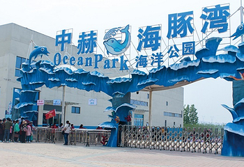 中赫海豚湾海洋公园第 11 张图片