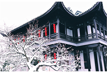红梅公园第 11 张图片