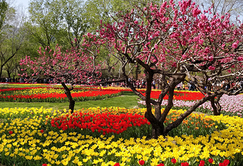 国家植物园(原北京植物园)第 2 张图片