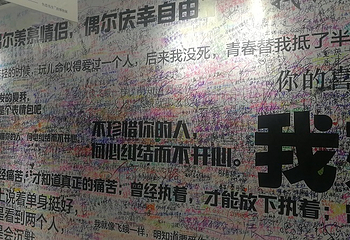绵阳星空失恋博物展第 5 张图片
