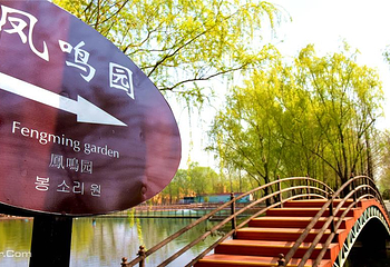 滕州微山湖红荷湿地第 6 张图片