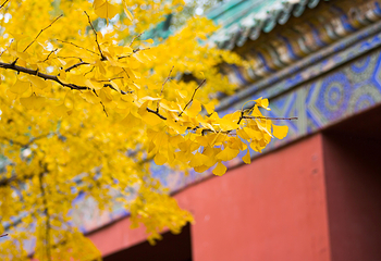 地坛公园第 3 张图片