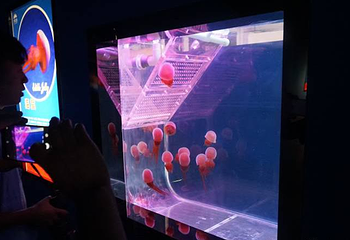 红海滩湿地科学馆第 15 张图片