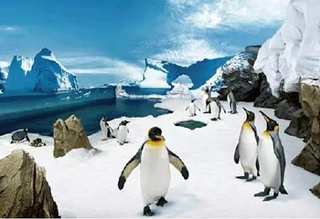 海南海洋水上乐园第 40 张图片