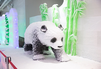 乐奇冰雪乐园第 11 张图片