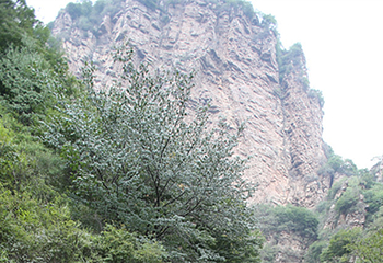 九龙潭景区（青松岭大峡谷）第 6 张图片