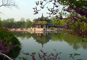 西湖风景名胜区第 5 张图片