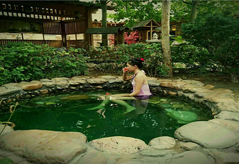 兴辰温泉第 4 张图片