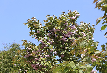 天眼洞花岭风景区第 8 张图片