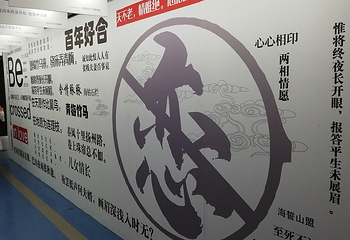 绵阳星空失恋博物展第 17 张图片