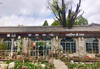 喜洲第 5 张图片