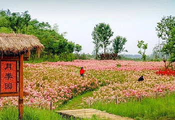 杏花村文化旅游区第 12 张图片