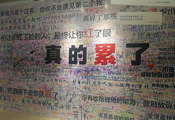 绵阳星空失恋博物展第 8 张图片