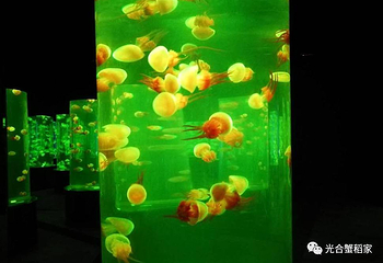 红海滩湿地科学馆第 19 张图片