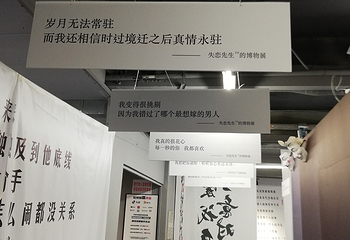 绵阳星空失恋博物展第 14 张图片