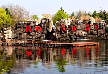 滕州微山湖红荷湿地第 2 张图片