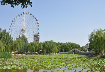 中山公园第 7 张图片
