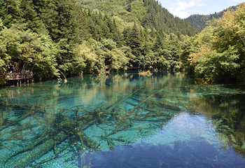 九寨沟风景区第 13 张图片