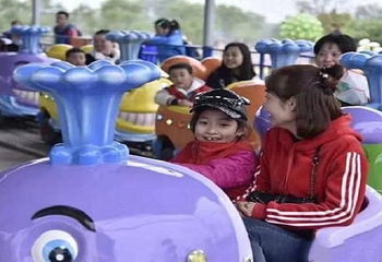 蓝山湾木艺生态小镇第 10 张图片