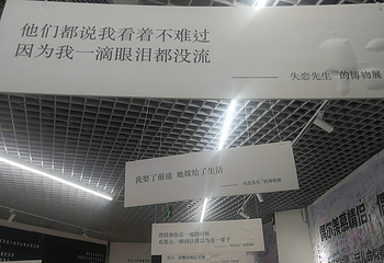 绵阳星空失恋博物展第 4 张图片