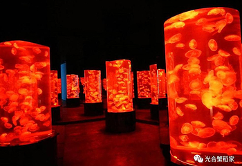 红海滩湿地科学馆第 20 张图片