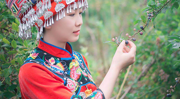 石牌湖蓝莓采摘园