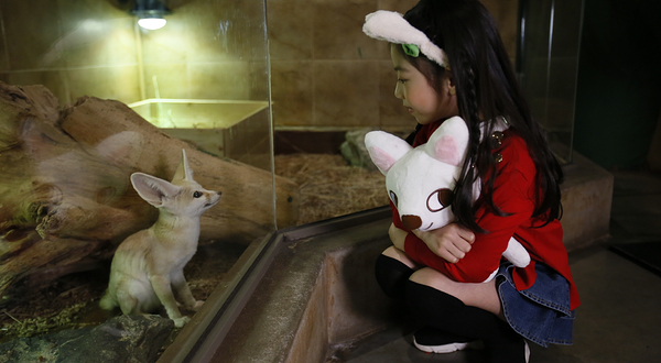 Zoolung Zoolung 室内动物园（高阳市）