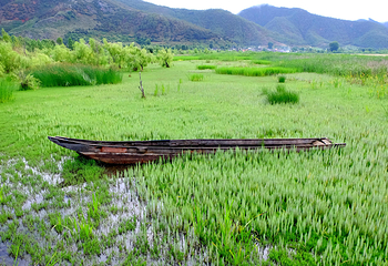 泸沽湖第 28 张图片